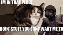 PlayerCat!